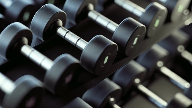 Endless rows of dumbbells on  rack in gym or fitness club. Strenght, fit concept