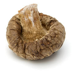 Dried Shiitake Mushroom isolated on white background