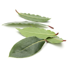 Obraz premium Aromatic bay leaves
