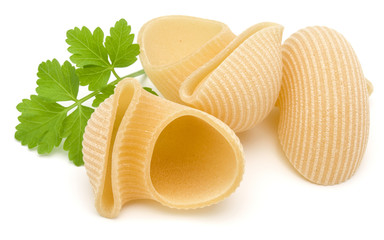 Italian lumaconi isolated on white background. Lumache, snailshell shaped pasta.