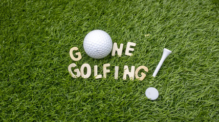 Gone golfing is on green grass with golf ball and tee