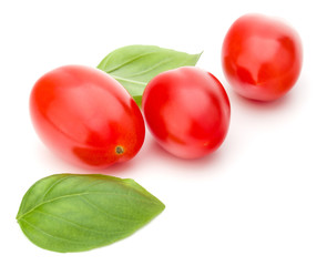 fresh plum tomato with basil leaf isolated on white background