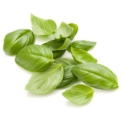 Sweet basil herb leaves handful isolated on white background closeup