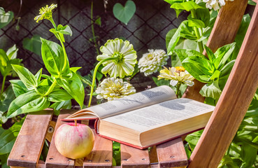 Apple and book on a chair among the flowers