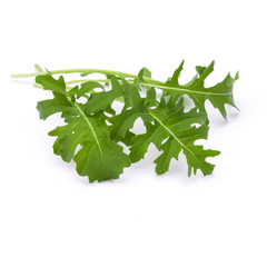 Close up studio shot of green fresh rucola leaves isolated on white background. Rocket salad or arugula.