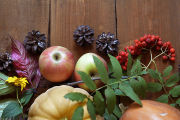Autumn still life with two pumpkins and apples, surrounded by herbarium of leaves, rowan berries, flowers, and pine cones.