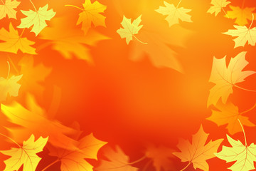 Naklejka na ściany i meble Autumn abstract background. Fall maple leaves. Flying foliage 