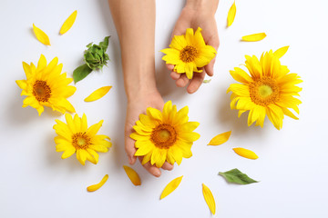 Woman holding beautiful sunflowers on white background, top view