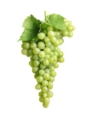 Bunch of green fresh ripe juicy grapes isolated on white