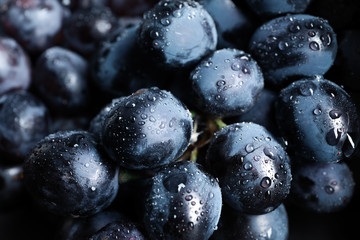 Bunch of fresh ripe juicy grapes as background. Closeup view