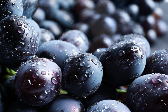 Bunch of fresh ripe juicy grapes as background. Closeup view