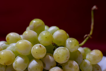 Green and fresh grapes
