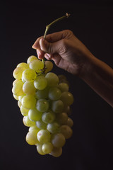 Female hand holds bunch of grapes isolated on black background