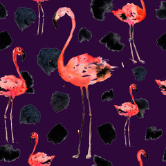 Watercolor Seamless Pattern With Flamingo and Dots. Exotic Summer Beach Motif. Swimwear Design, Wrapping, Background, Wallpaper, Fabric. Hawaiian Print. Jungle Birds Repeated Ornament. Africa.