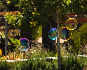 Closeup of colorful bubbles floating in background of trees