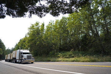 Fototapeta na wymiar Big rig classic semi truck with three flat bed semi trailers transporting lumber on green road with trees