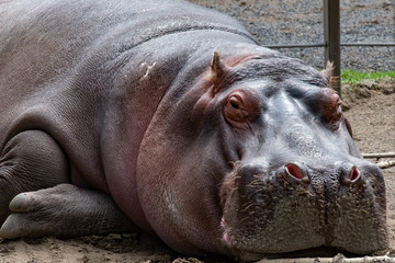 Calgary Zoo 9