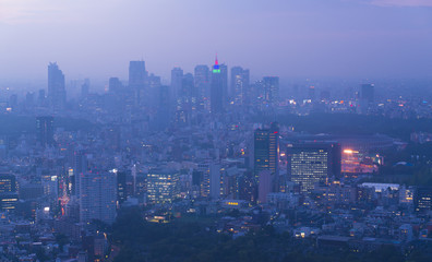 Obraz premium 東京風景・トワイライト・新宿方面