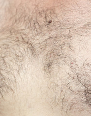 hairy male body