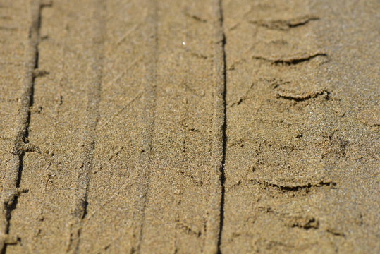 砂テクスチャ のストック写真 ロイヤリティフリーの画像 ベクター およびビデオ Adobe Stock