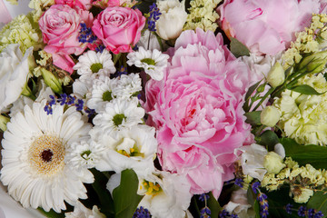 Beautiful flowers as background