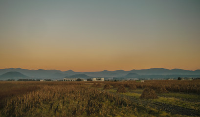 Sunset in the middle of a road at Mexico