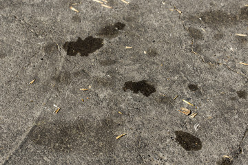 a drop of car oil on the asphalt
