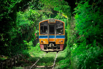 Vintage Train Running Through Tunnel Naturally Created From Trees Along the Railway. Amazing Scenery in Bangkok, Thailand.