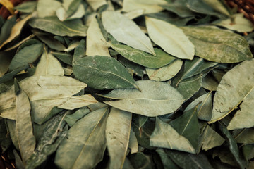 sorting dried coca leafs in a small woven basket