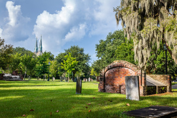 daytime cemetery view