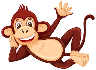 A monkey laying on white background © brgfx