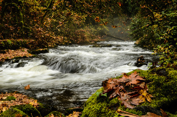 Flowing water in creek