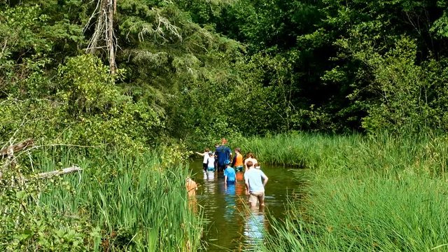 Mississippi River near source is just a small creek in Itasca Park in Minnesota. People are wading in the river in this clip.