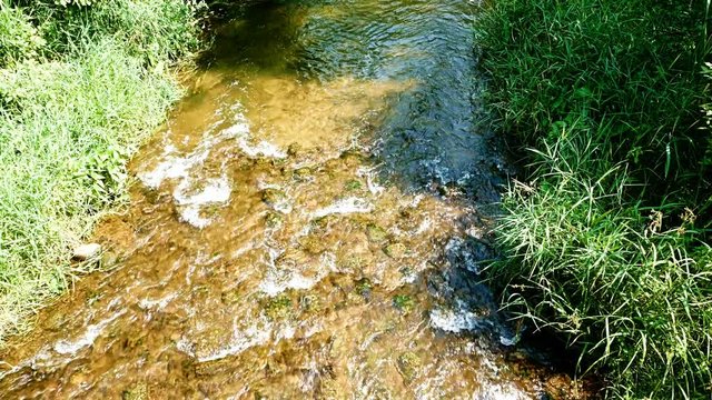 Mississippi River near source is just a small creek in Itasca Park in Minnesota