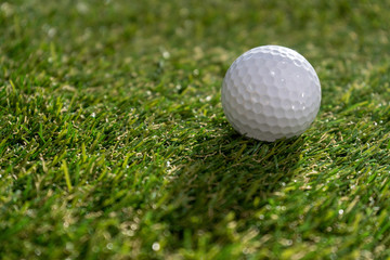 Golf ball on the green