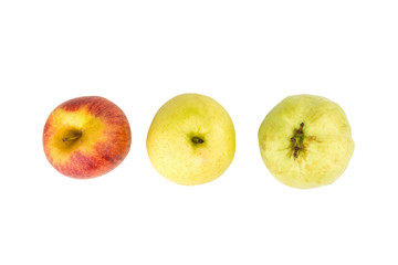 fruit traffic light concept. apple red. chinese pear yellow. guava green. isolated on white background