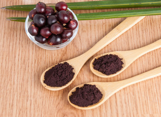 acai from the Amazon (Euterpe oleracea)