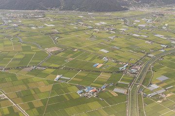 aerial view of rice fields