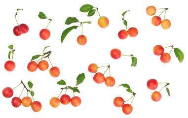 Plums isolated on white, top view