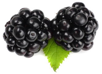 Blackberries isolated on white. Macro