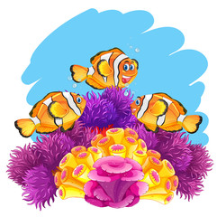 Crown fish playing in coral reef