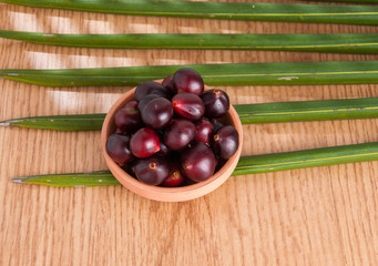 acai from the Amazon (Euterpe oleracea)