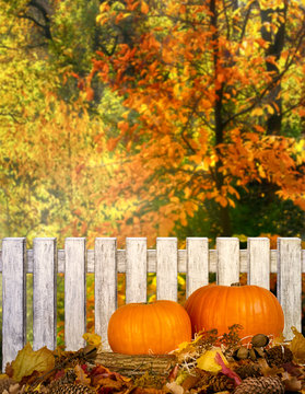 Autumn festive background with pumpkins on straw and leaves outdoor for Thanksgiving in forest