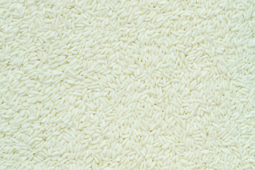 Closeup Glutinous rice (Oryza sativa var.glutinosa) for background