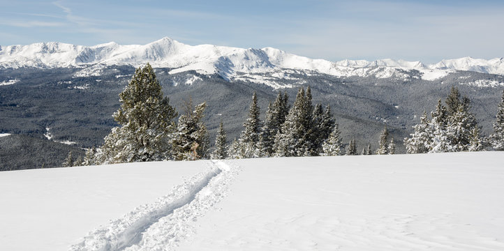 Fresh tracks across the snow