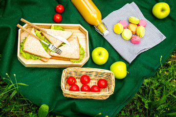Food for picnic on tablecloth on green grass. Meal outdoor concept. Sandwiches, vegetables, sweets, drinks top view copy space