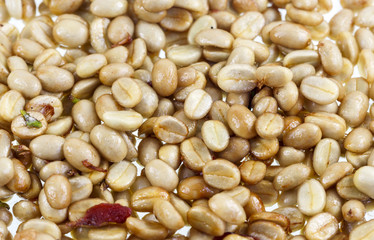 Coffee Cherries or Coffee Berries