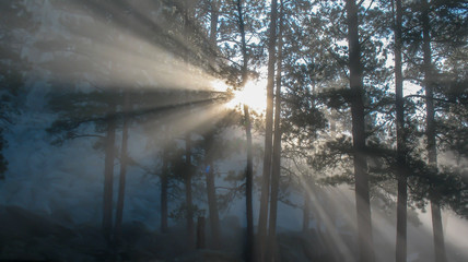 Obraz premium Sunlight breaking though fog