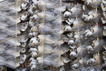 Row of dry fish. Dry fish for fried to eat. Food preservation in thailand.