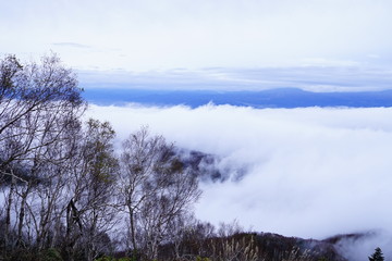 遠くに見える山々と雲海2